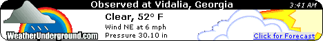 Click for Vidalia, Georgia Forecast
